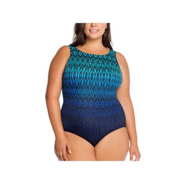 Robby Len By Longitude Tonal One Piece Swimsuit Plus