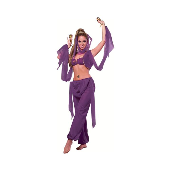 Desert Princess 4-pc. Dress Up Costume Womens