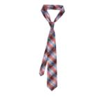 Van Heusen Tie Right Passion Paisley Tie