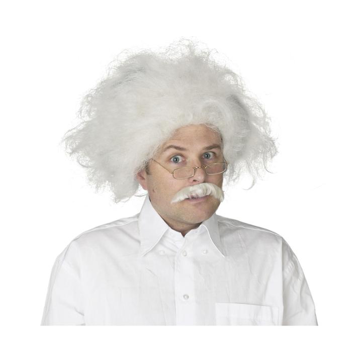 Einstein Wig Adult