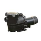 Flowxtreme Pro Ii 3/4 Hp 2sp Ig Pump