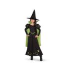 Wizard Of Oz-wicked Witch Of The West Child Costume