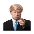 Donald Trump Wig
