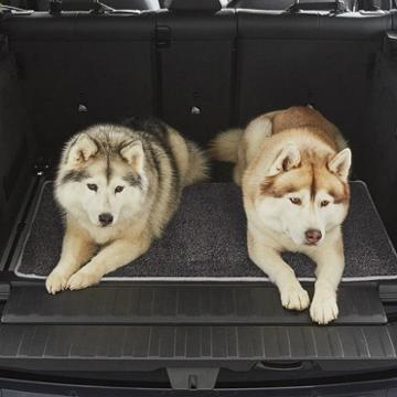 Rugarmour Cargo Protector