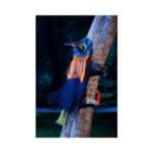 Crashing Witch - Wilma Wipeout Dcor