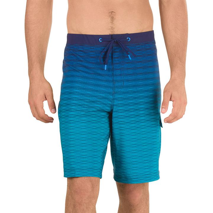 Speedo Geo Linear Board Shorts