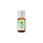 Healing Solutions Spearmint Essential Oil