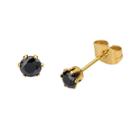 Black Cubic Zirconia 4mm Stainless Steel And Yellow Ip Stud Earrings