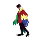 Parrot Adult Costume