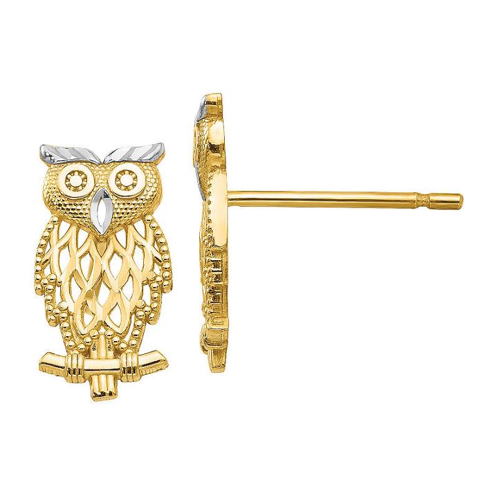 13mm Stud Earrings