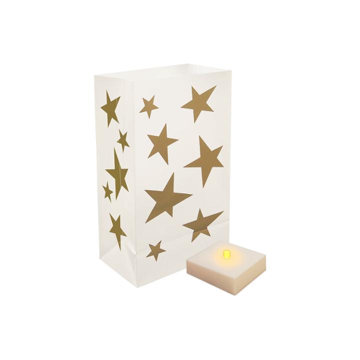 Battery Operated Luminaria Kit With Timer- Set Of 6