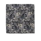 Collection Paisley Pocket Square