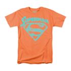Superman Super Arch Graphic Tee