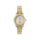 Timex Elevated Classic Womens Gold-tone Stainless Steel Expansion Bracelet Watch T2m8279j