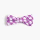 J.Crew Boys' cotton bow tie in purple gingham