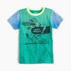 J.Crew Boys' colorblocked boogie gator T-shirt