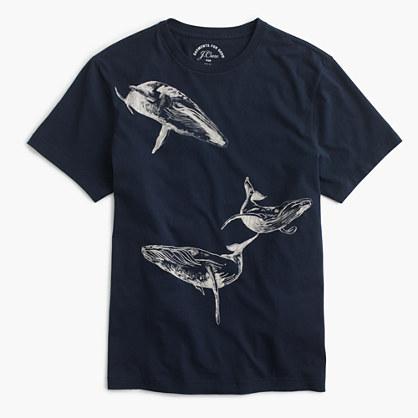 J.Crew J.Crew for the Royal Ontario Museum whale T-shirt