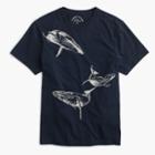 J.Crew J.Crew for the Royal Ontario Museum whale T-shirt