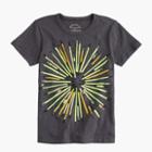 J.Crew Boys' crewcuts Teach for America 2015 T-shirt
