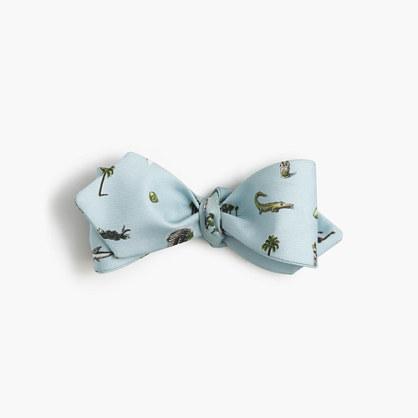 J.Crew J.Crew X Pierre Le-Tan™ for Design Miami/™ bow tie