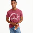J.Crew Garment-dyed Death Valley graphic T-shirt