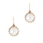 J.Crew Crystal Venus flytrap earrings