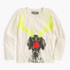 J.Crew Boys' glow-in-the-dark holiday dog T-shirt