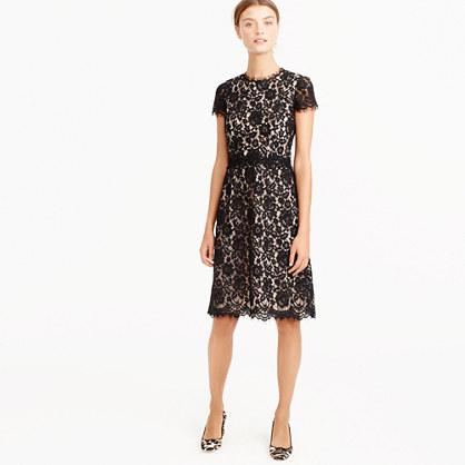 J.Crew Collection lace fit-and-flare dress