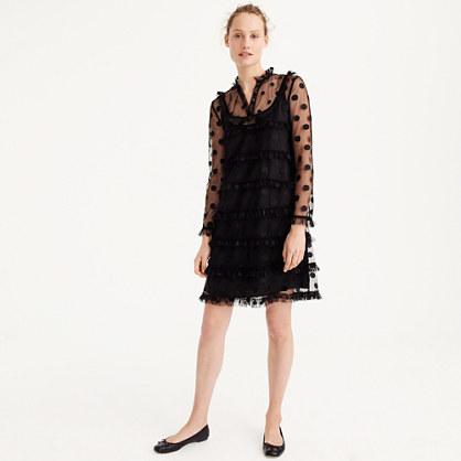 J.Crew Polka dot embroidered tulle dress