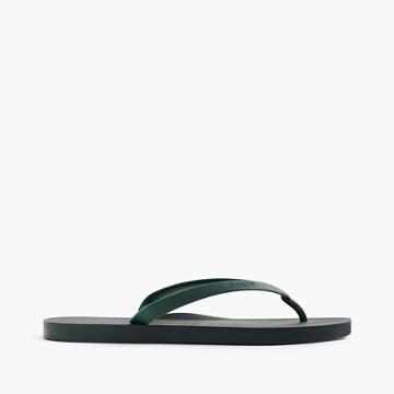 J.Crew Tidal New York for J.Crew flip-flops