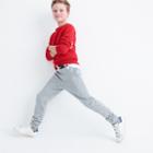 J.Crew Boys' Max the Monster sweatpants in classic fit