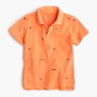 J.Crew Boys' critter piqu&eacute; polo shirt in ahoy flags