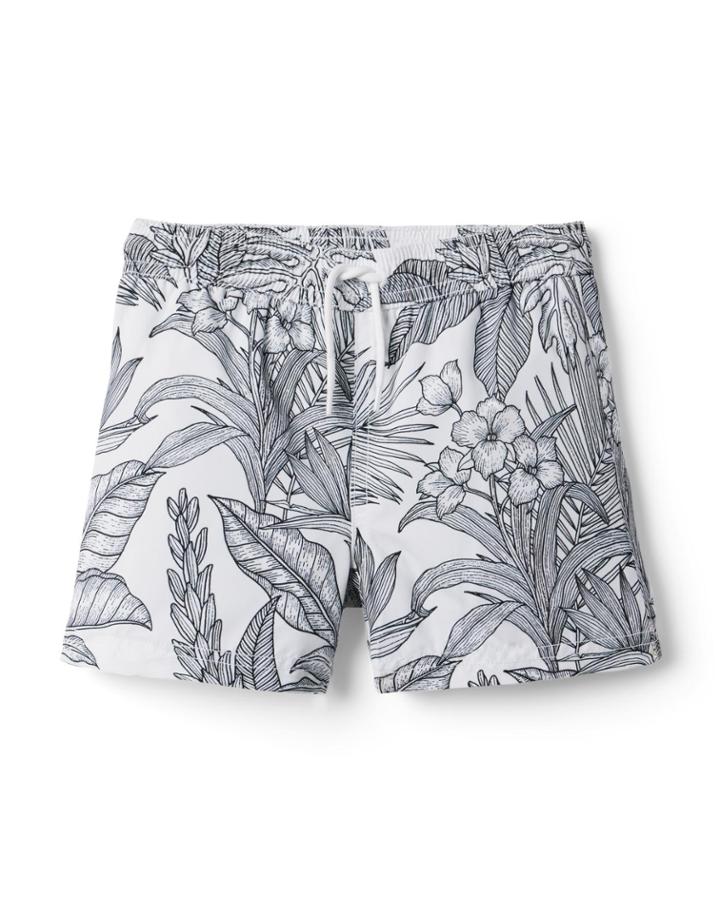 Palm Recycled Swim Trunk