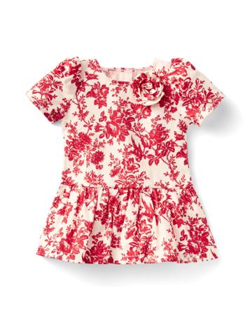 American Girl X Janie And Jack Floral Toile Dress For Dolls