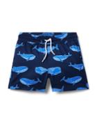 Whale Recycled Swim Trunk