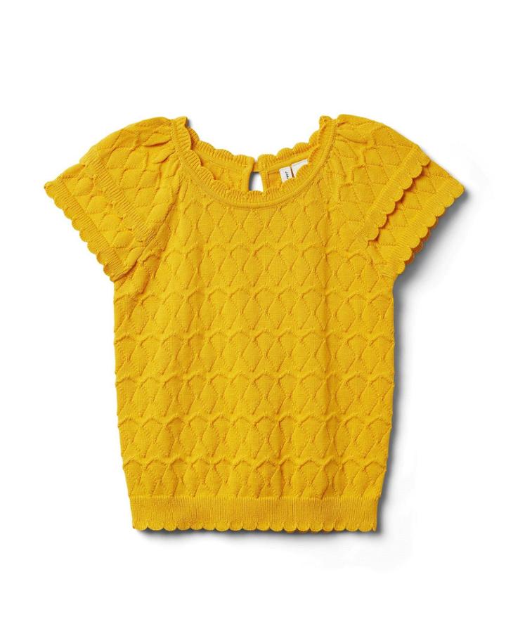 Textured Scallop Sleeve Sweater