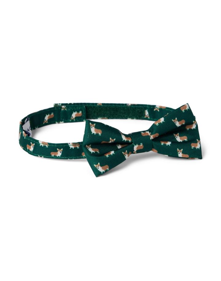 Corgi Bowtie