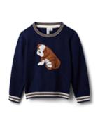 Bulldog Sweater