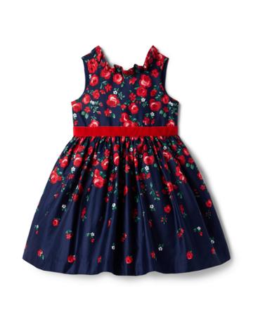 American Girl X Janie And Jack Wrapped In Roses Party Dress