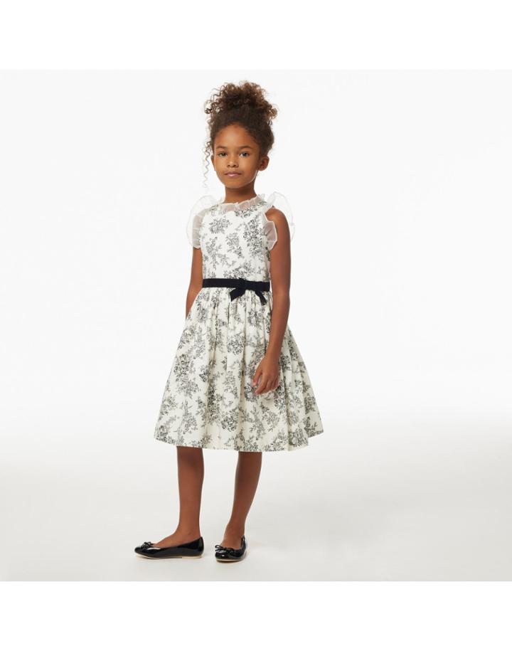 Floral Toile Ruffle Dress