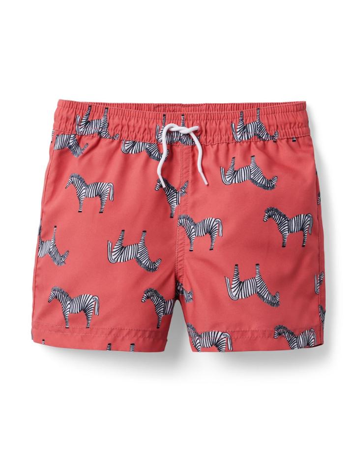 Zebra Recycled Swim Trunk