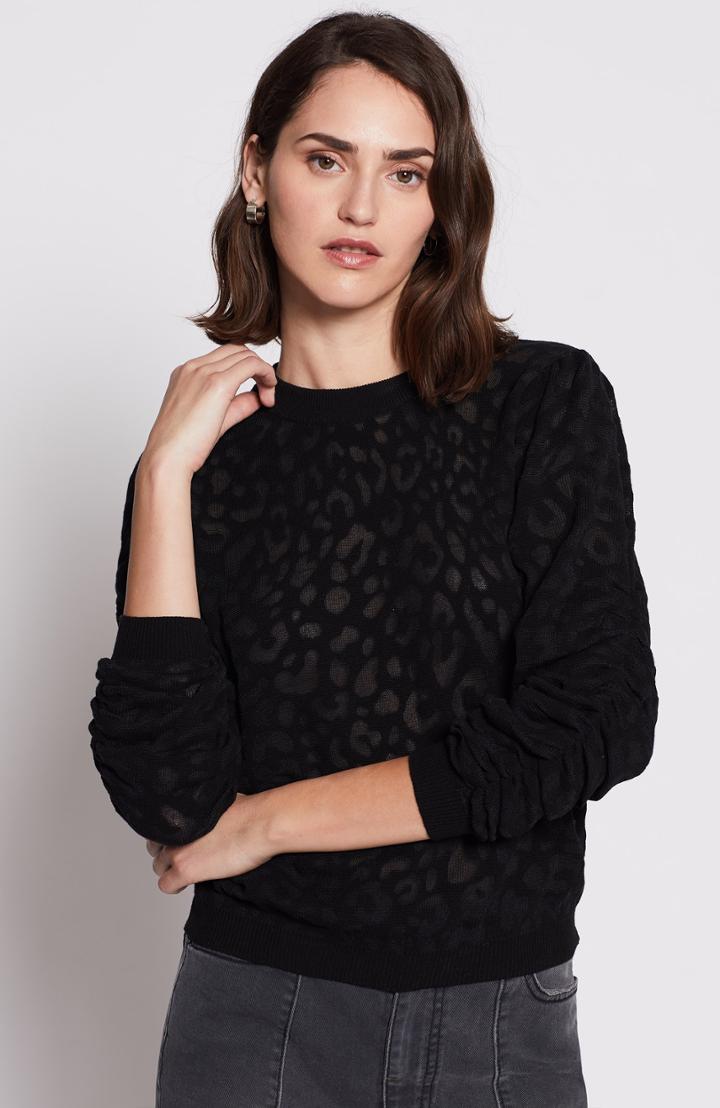 Joie Itana Sweater