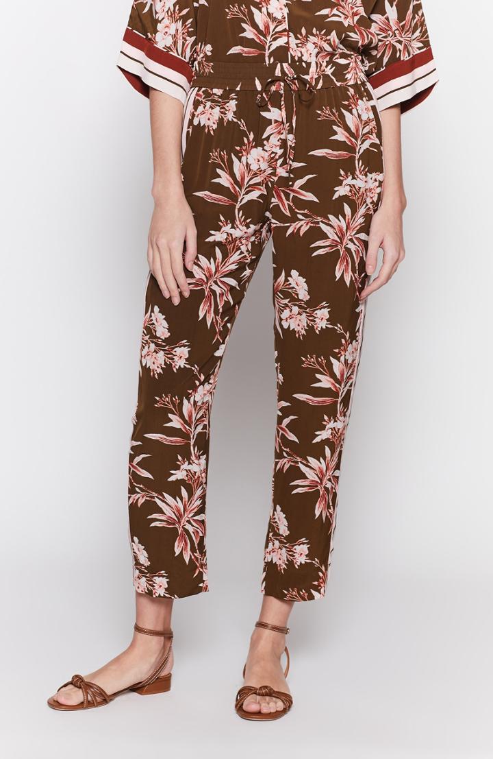 Joie Quisy Pants