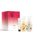 Jurlique Immersive Rituals Body Care Gift Set