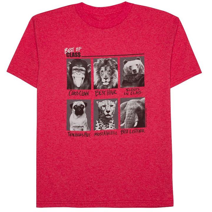 Boys 8-20 Best Of Class Tee, Size: Medium, Med Pink