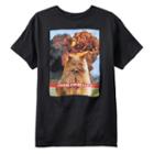 Boys 8-20 Problem Solved Cat Tee, Boy's, Size: Xl, Black