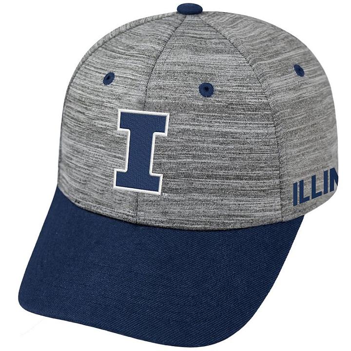 Adult Illinois Fighting Illini Backstop Snapback Cap, Men's, Med Grey