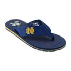Men's Notre Dame Fighting Irish Flip-flops, Size: 12, Blue (navy)