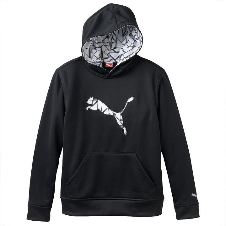 Boys 4-7 Puma Big Cat Performance Hoodie, Boy's, Size: 5, Black