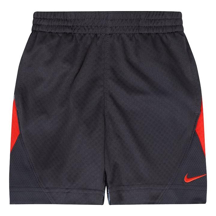Toddler Boy Nike Dri-fit Aop Avalanche Printed Short, Size: 3t, Silver